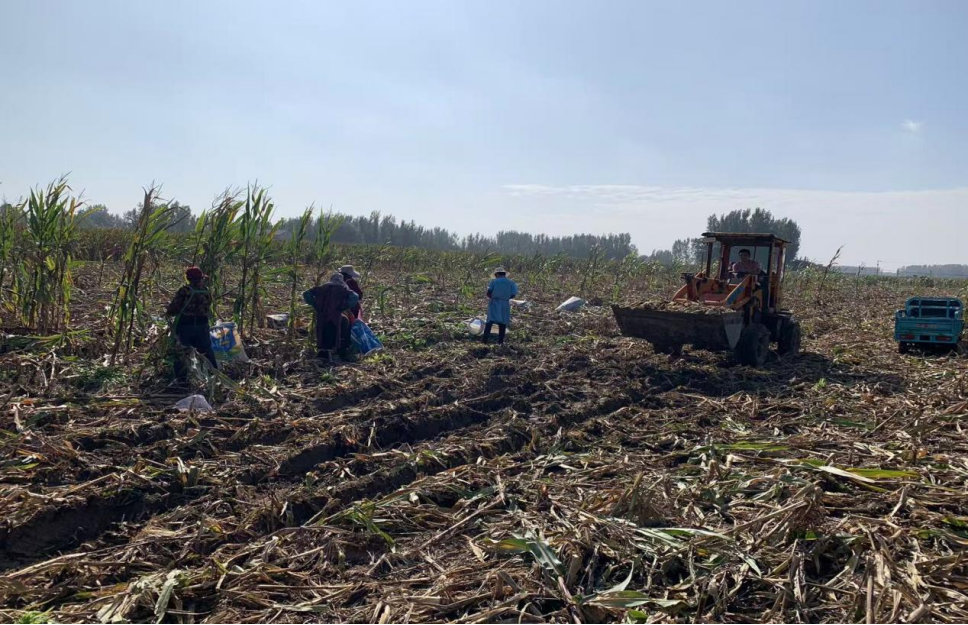 1761285962195319.png 1761285962195319.png