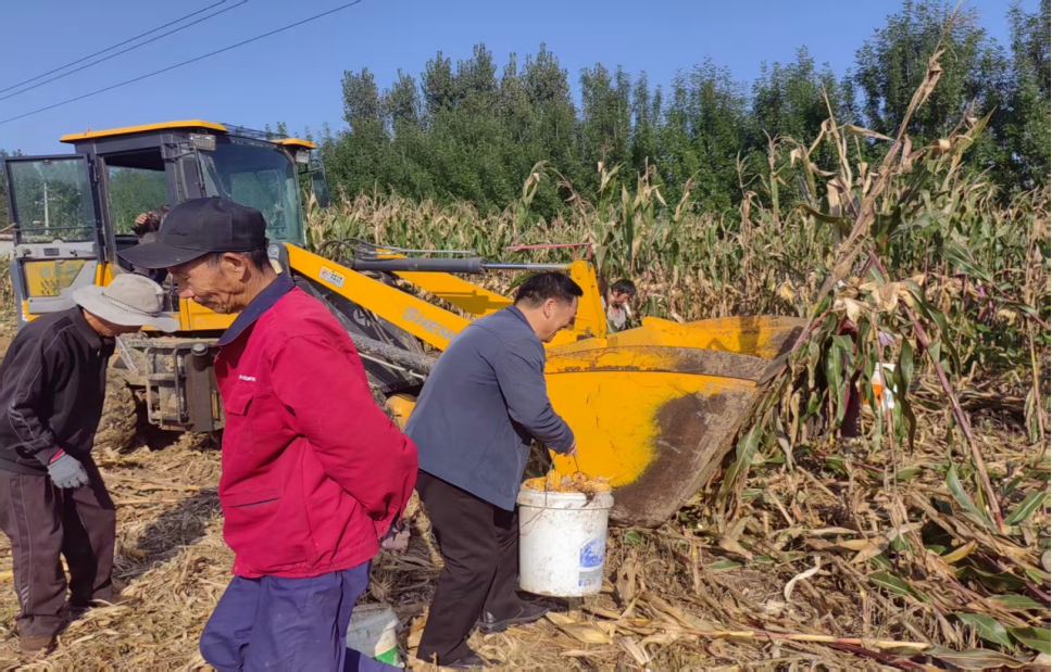 1761286053209051.png 1761286053209051.png