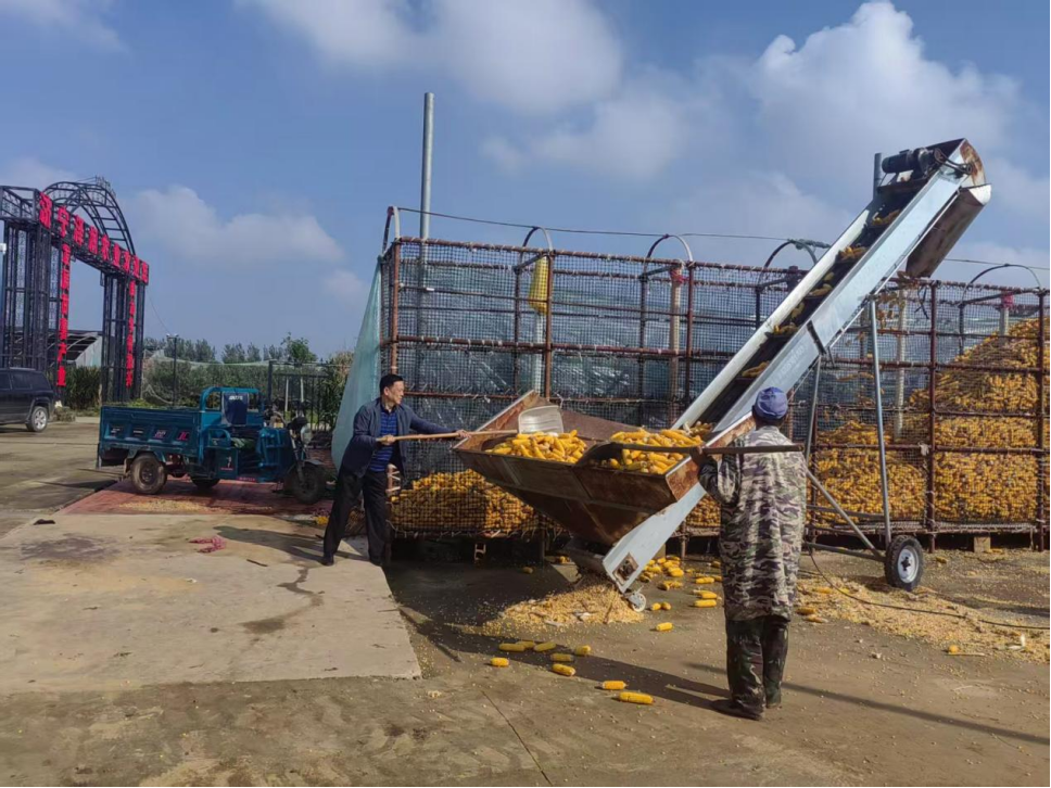 1761286172329327.png 1761286172329327.png