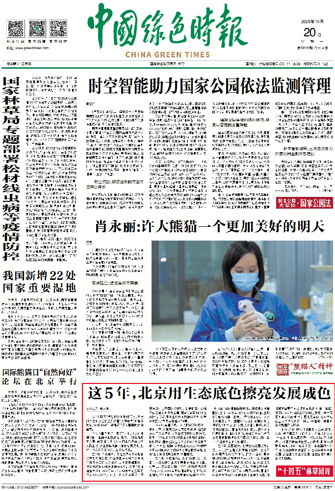 1762165305194506.png 1762165305194506.png